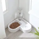 Automatic Pet Feeder and Water Dispenser