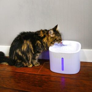 Automatic LED Filtered Cat Water Fountain
