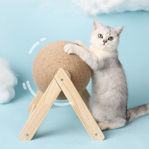 😻 Save Your Furniture & Entertain Your Cat!