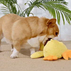 Calming Duck Dog Toy