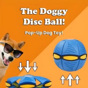 Flying Saucer Doggy Disc Ball